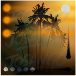 "Palmeras Atardecer Dorado"