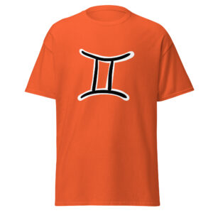 Z GEMINIS: imagen 8