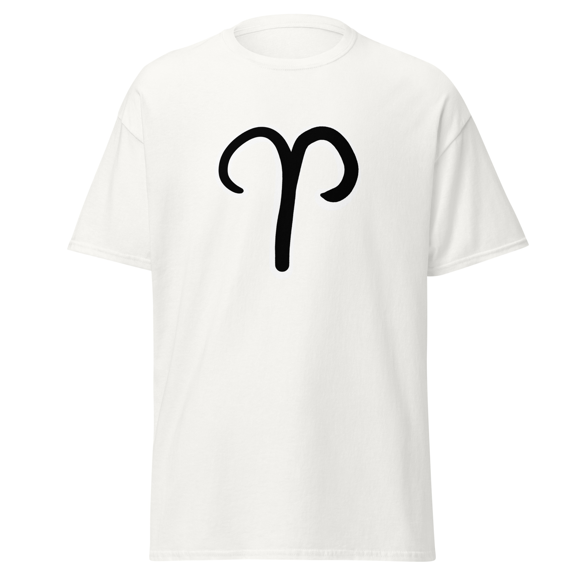 Z ARIES: imagen 1